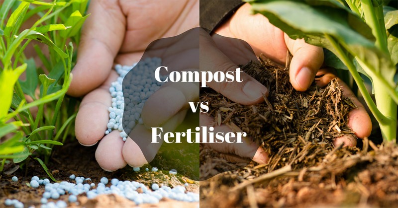 compost vs fertiliser