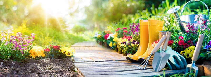 Gardens make us feel better, healthier, and happier
