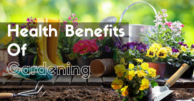 Health Benefits of Gardening