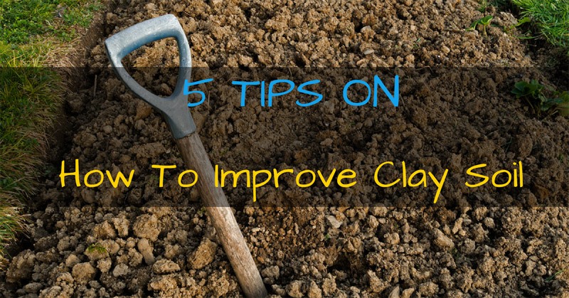 5 Tips On How To Improve Your Clay Soil, Improving Clay Soil For Gardening