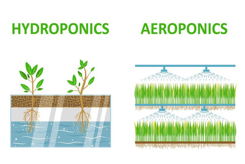 Aeroponic and hydroponic systems