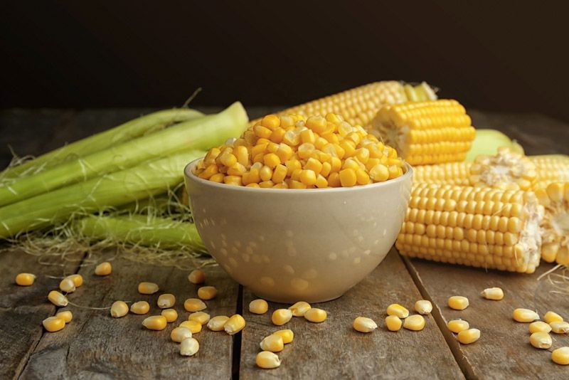 How to store freshly picked corn