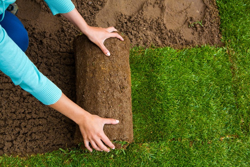 Advantages and Disadvantages of Sod