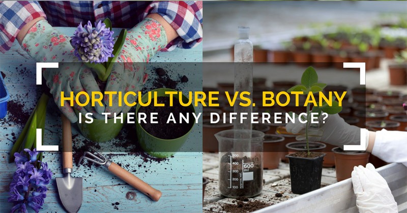 Horticulture vs. Botany