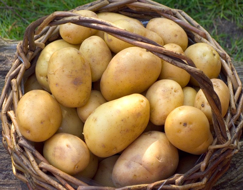 Type Of Potatoes