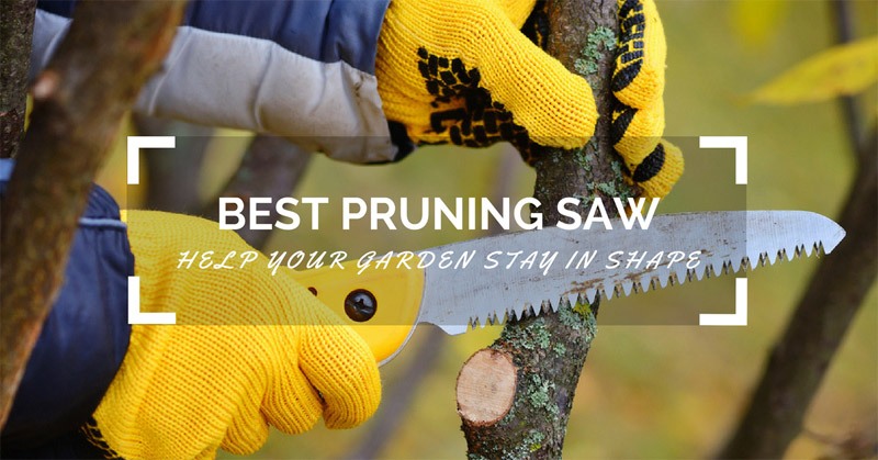 Best Pruning Saw