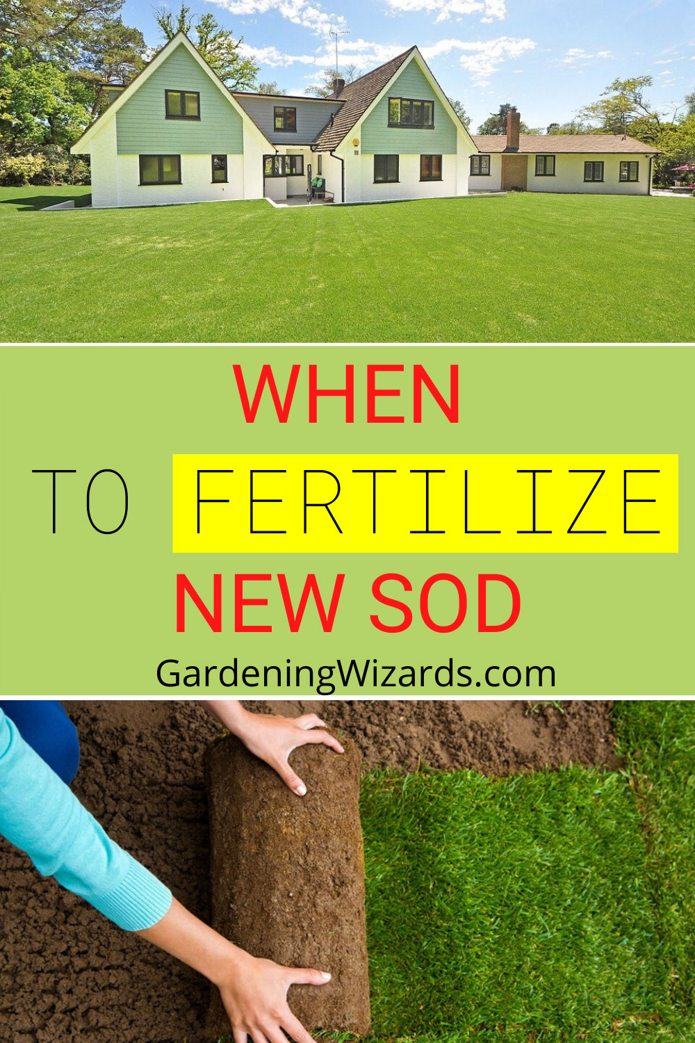When to Fertilize New Sod