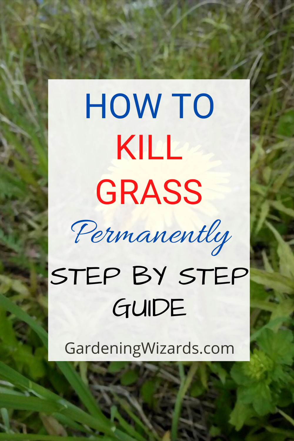 How To Kill Grass