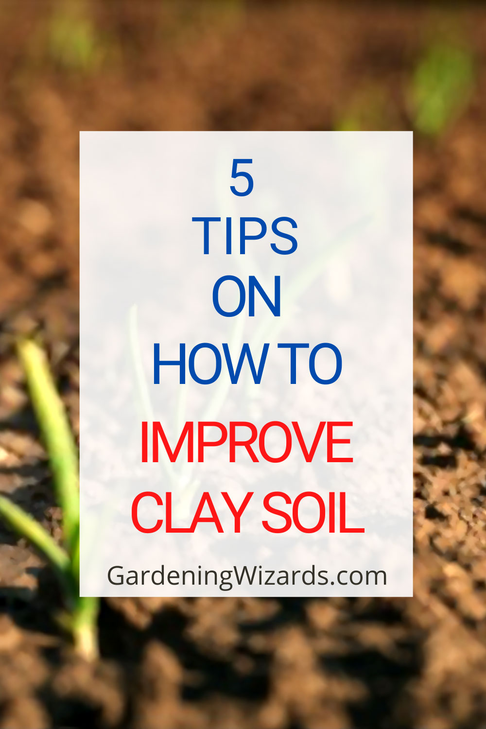 How to improve clay soil