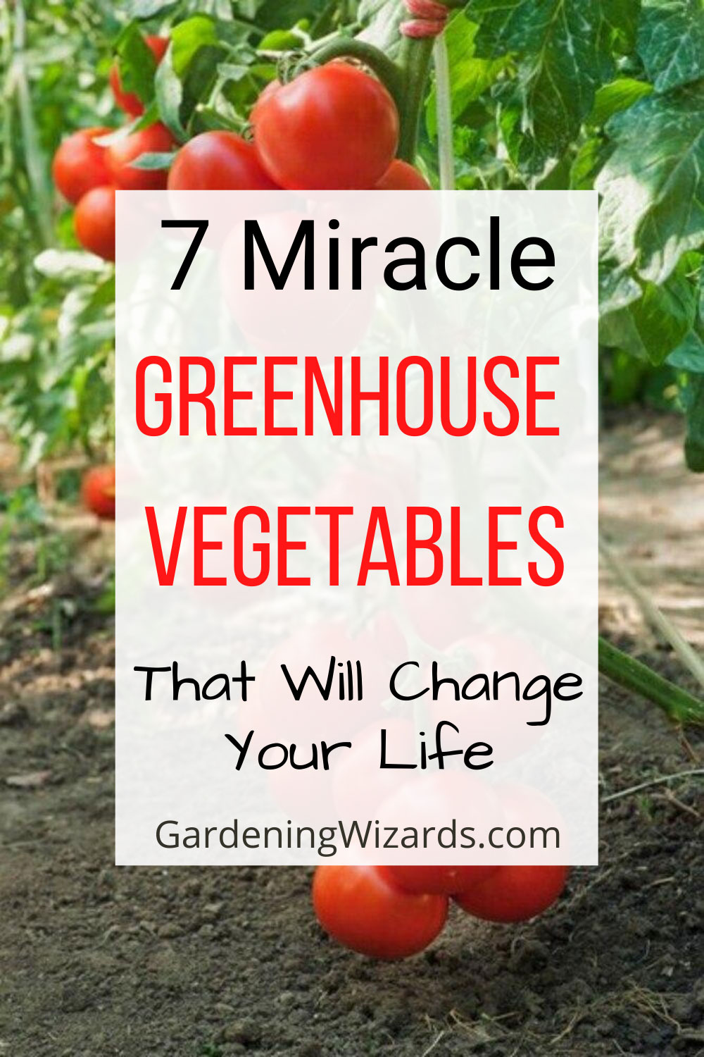 Greenhouse Vegetables