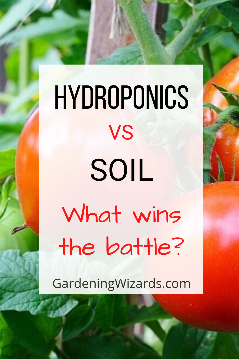 Hydroponics vs soil