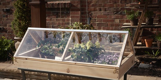 Table-top greenhouse design