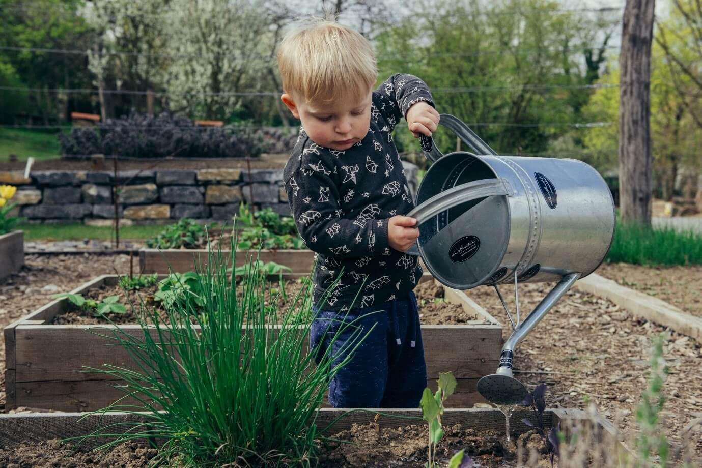Involve your Kids in Gardening